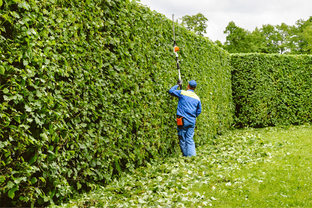 entretien de jardin